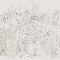 SCANDIFOREST 2